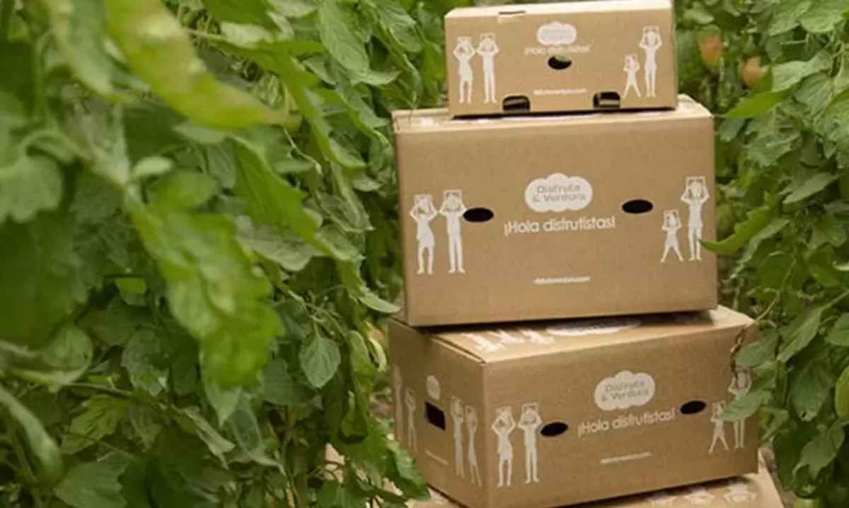 Lanzan plataforma web de diseño para la reciclabilidad de envases y embalajes de productos alimenticios