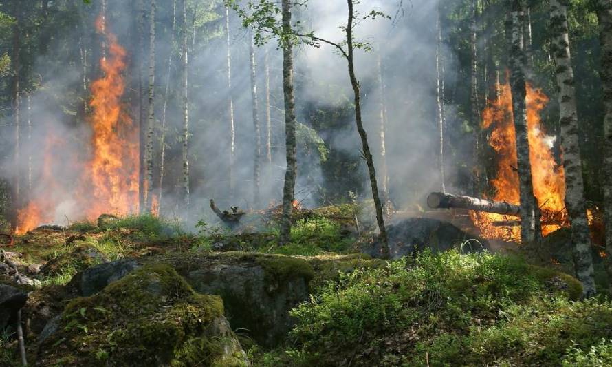Avanza ley que prohíbe construir en terrenos afectados por incendios forestales