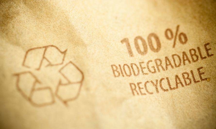 Claves para reconocer cuándo algo es biodegradable o degradable