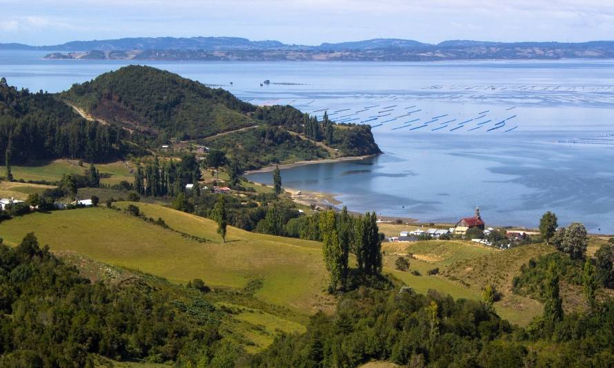 Festival Trees and Seas plantará 25 mil árboles nativos en Chiloé