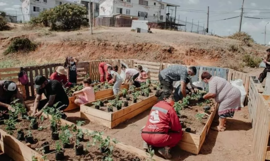 Huertos comunitarios: un trabajo colaborativo de autogestión que entrega seguridad alimentaria para vecinos de Valparaíso