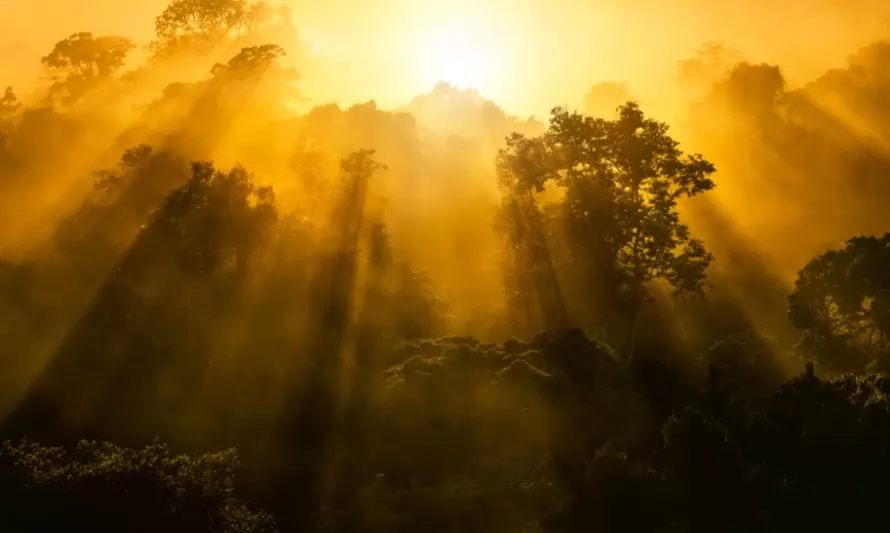 Natura reafirma su compromiso con el cuidado de la selva amazónica