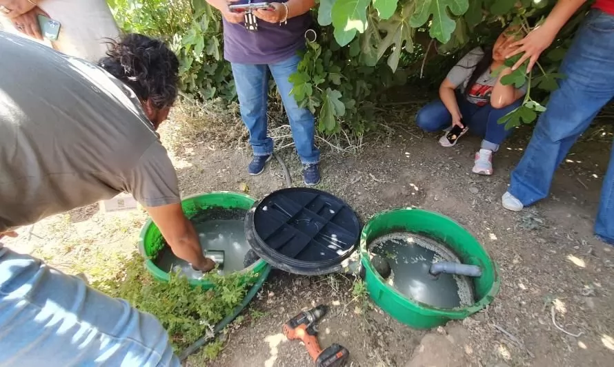 Del desagüe de la lavadora hasta los cultivos: Biofiltro implementado por INIA Rayentué reutiliza aguas grises
