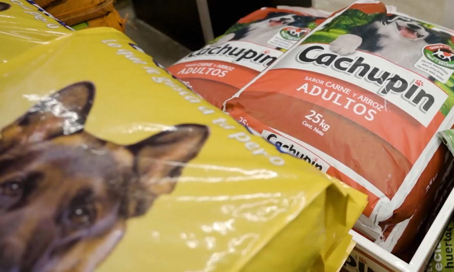 Nuevo programa Sodimac para revalorizar comida de mascotas