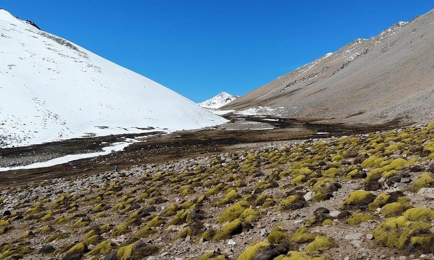 Río Sasso, Cerro la Cruz y Cruz de Piedra: conoce los tres nuevos santuarios de la naturaleza que tiene Chile
