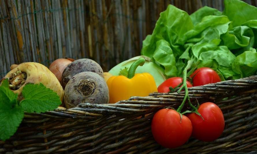 60% de la población considera que los vegetales son más saludables y amigables con el medio ambiente