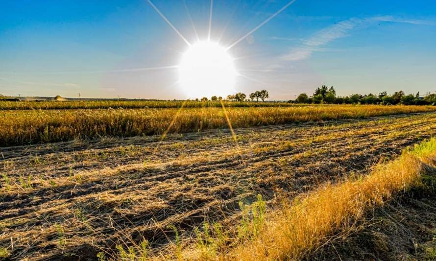 Temperaturas Extremas Afectarán A Siete Regiones Del País ¿cuál Es Tu Huella 2327