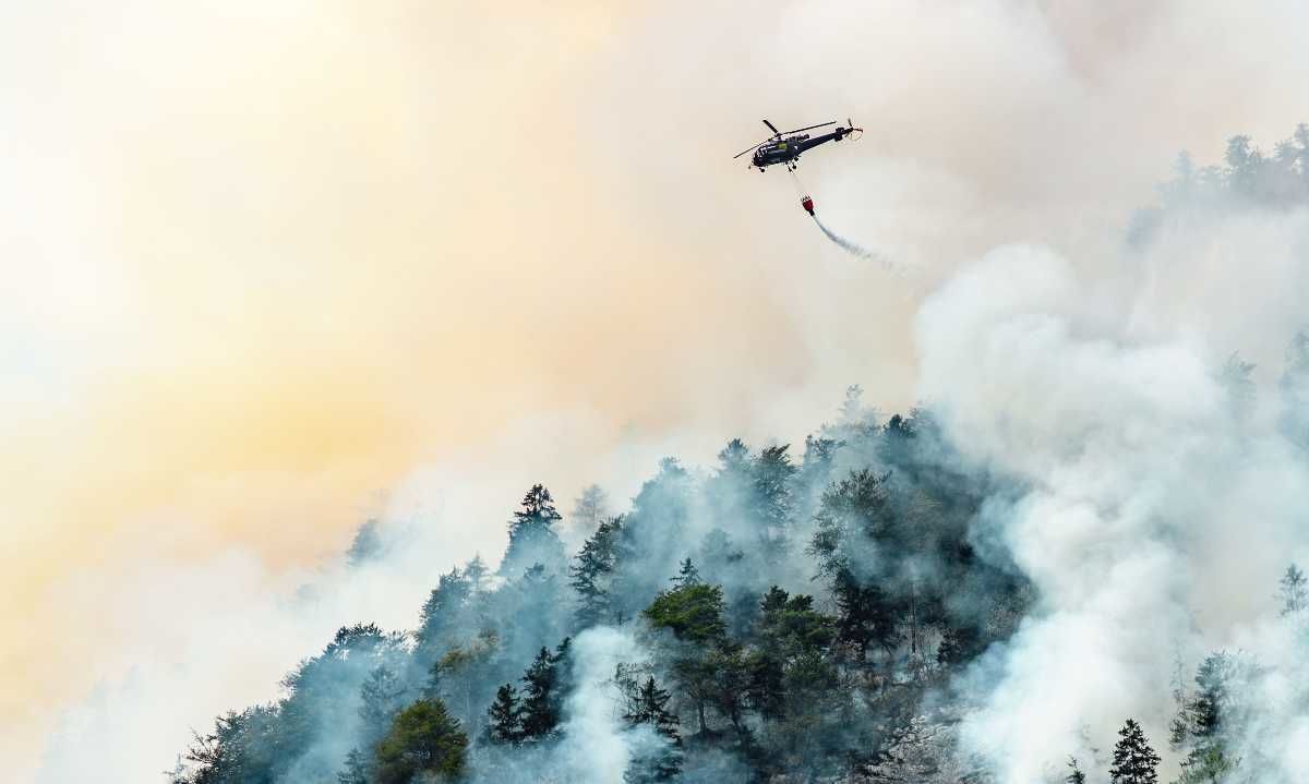Investigadores chilenos lideran proyecto internacional para la prevención de incendios forestales