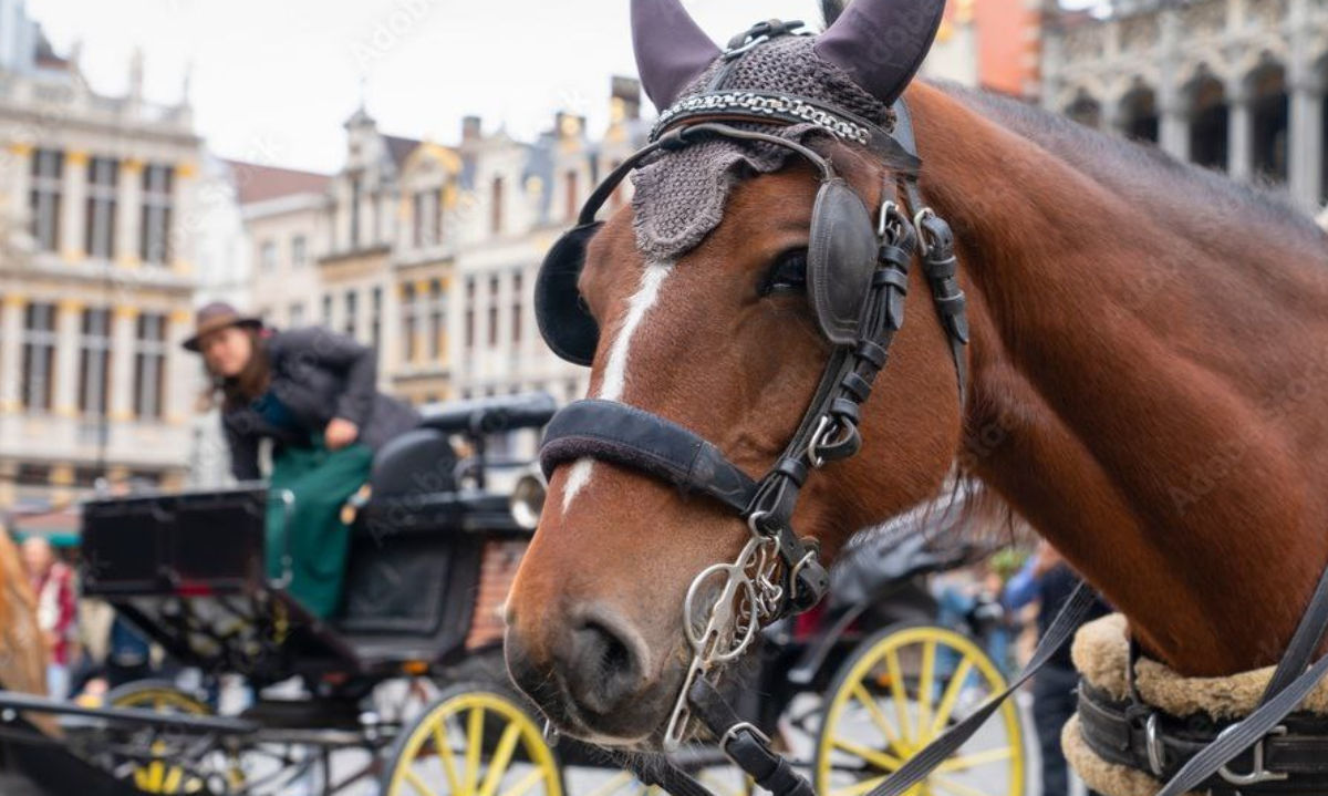 El fin de una era: Carruajes eléctricos debutan en Bruselas, poniendo fin al uso de caballos