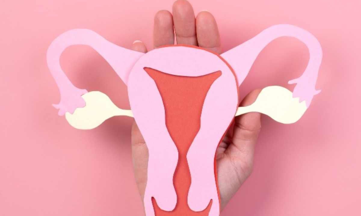 Automuestreo vaginal: Biotech chilena busca evitar que cada dos minutos muera una mujer