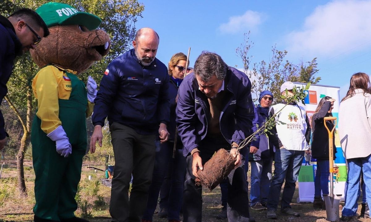 Gobierno lanza campaña para reforestar con 3.000 árboles nativos la Reserva Nacional Lago Peñuelas 