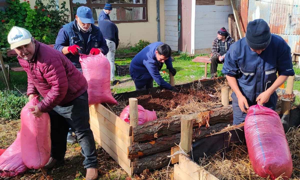 Huerta urbana del albergue municipal de Cañete impulsa la reinserción social