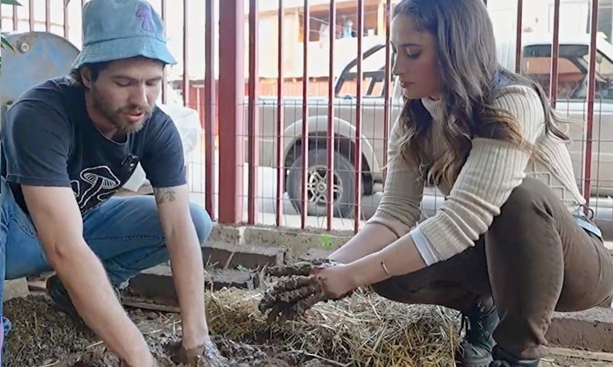 Bioconstrucción: Elaborar adobillos reutilizando nuestros recursos naturales