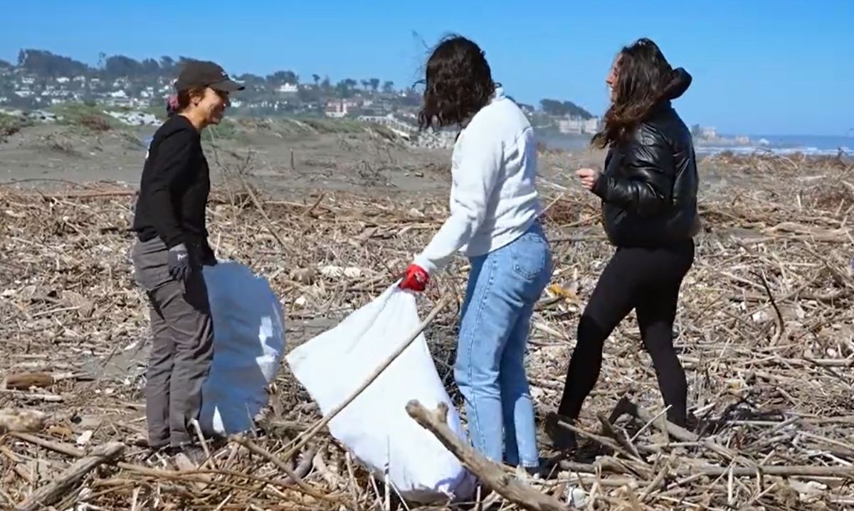 Acción humana y tenencia responsable: ¿Cómo proteger nuestros ecosistemas de estas amenazas?