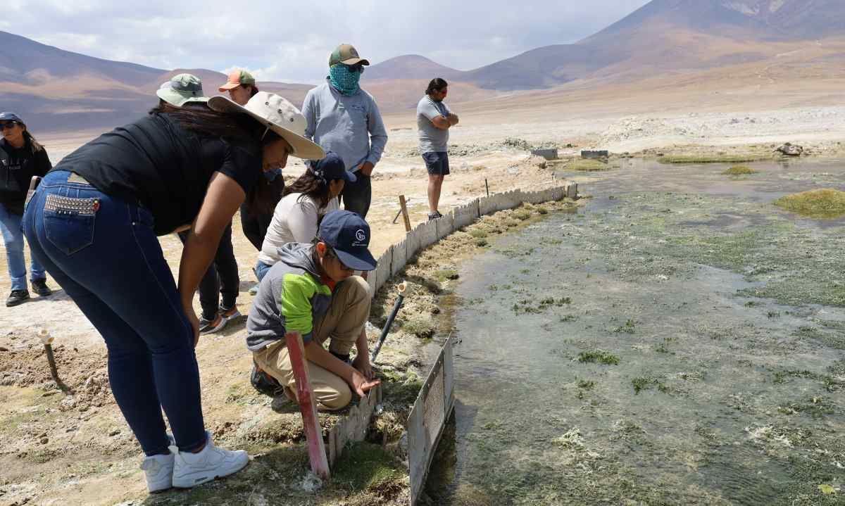 Comunidad de Ascotán conoce avances de trabajo de Minera El Abra en el Salar de Ascotán